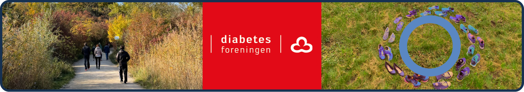 logo-diabetesforeningen